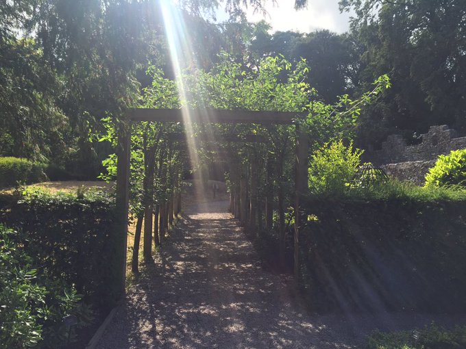 Magical woods https://t.co/65htxOnwWN<a href="/tag/trumpkin"class="tags"><span>#trumpkin</span></a>