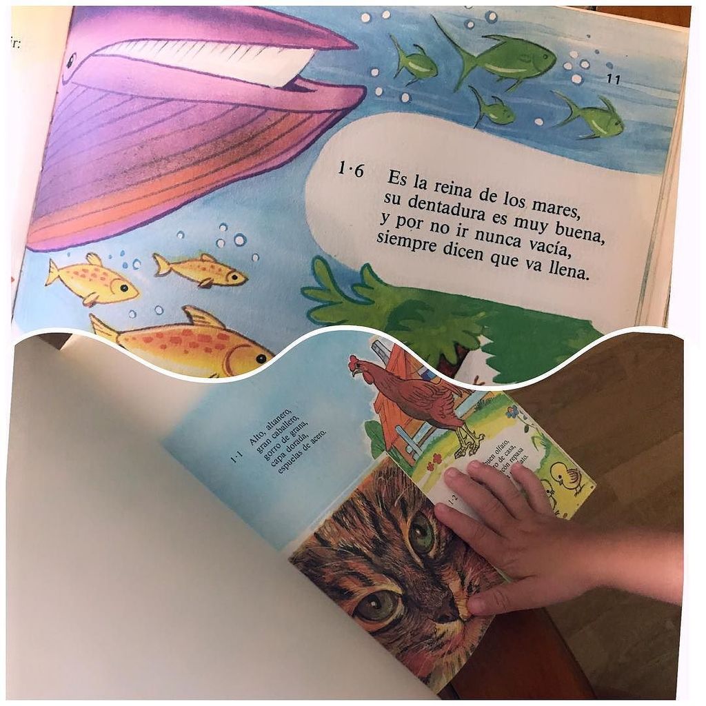 qidsapp's tweet photo. Tarde de adivinanzas 🐳🐱🐮🙈 a los niñ@s les encanta 👏🏽👏🏽👏🏽 #tardesdelectura #adivinanzas #librosdesiempre #nosolohay… https://t.co/M3wHwojFAp https://t.co/XQMEETDase
