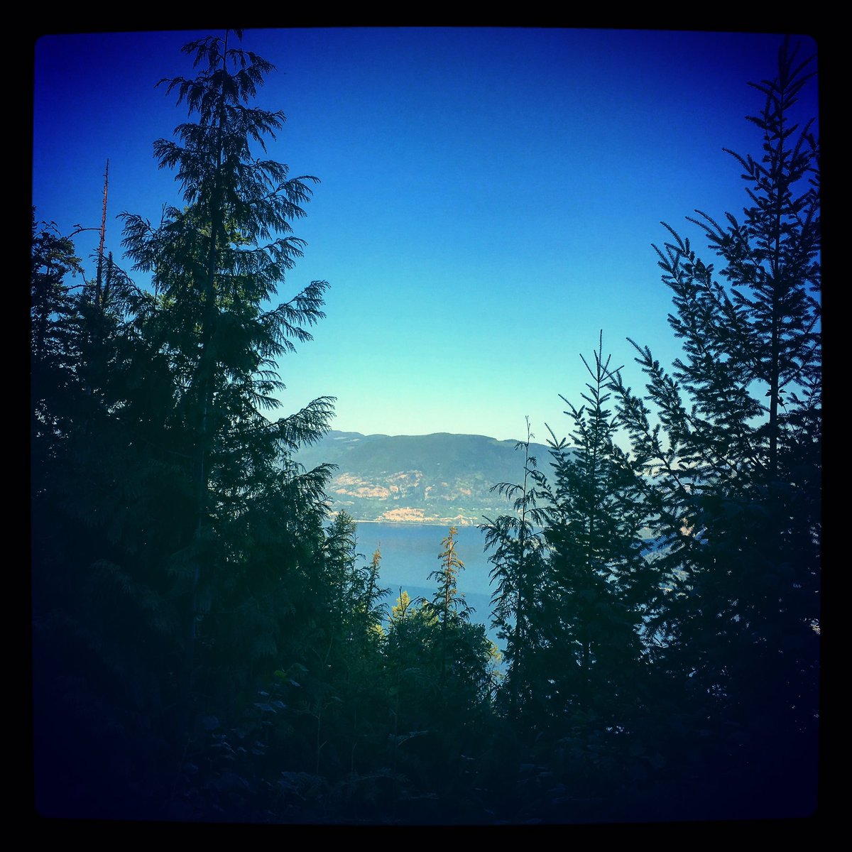 ElDeRobbo's tweet photo. #Shuswap #Lake this #beautiful #summer #morning in #SalmonArmBC #ShuswapLake #exploreBC #exploreShuswap #exploreMTB #ShuswapLife #MTBlife https://t.co/RsBpW8GCbn