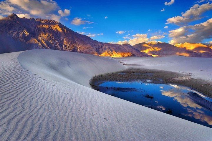 BlueberryTrails's tweet photo. #DailyEscapes Nubra Valley, #Ladakh https://t.co/Lx4eOktI8g (Limited Seats) Plan your Greaโฆ https://t.co/QUhtWfAgPk} https://t.co/quj65QLE9q