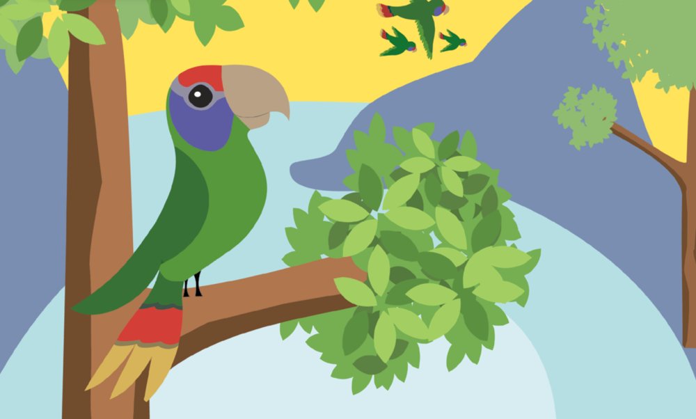 PADFBrasil's tweet photo. Este #papagaio não é encontrado em nenhuma outra parte do planeta @SPVSBrasil @DisneyAnimals @fund_boticario https://t.co/GXVC6MN1oU https://t.co/OWfnx4NV7h