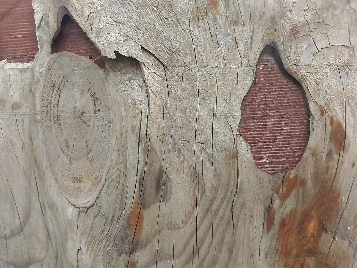 DavidSmithArt's tweet photo. A favourite piece of delaminating ply #abstracteverywhere https://t.co/3eZlntN4lM