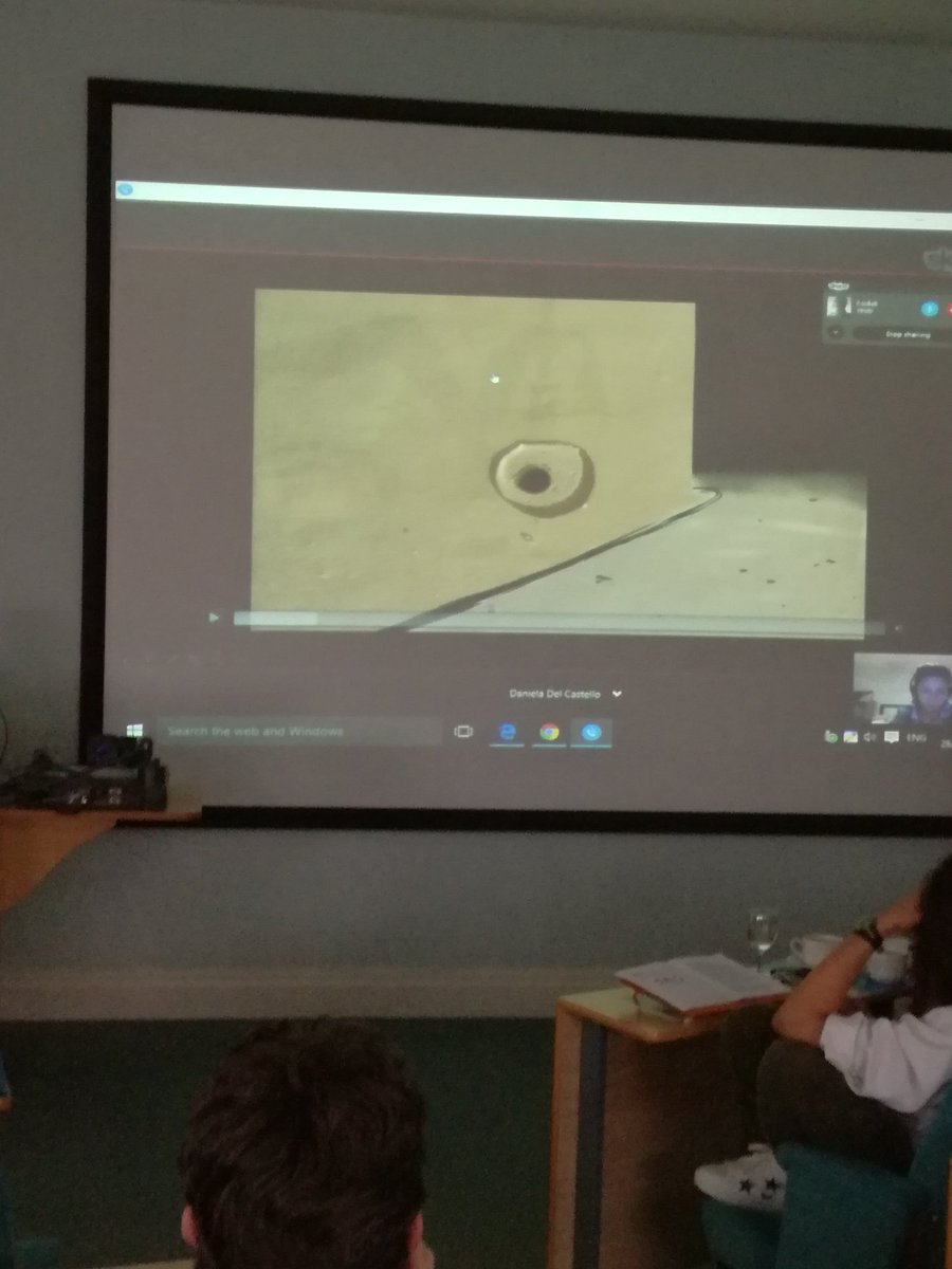 QueerAnimation's tweet image. Daniela's project explores the link between animation and Queer theory - it represents complex formations of desire