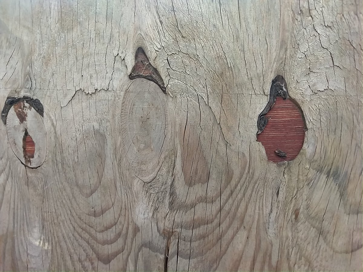 DavidSmithArt's tweet photo. A favourite piece of delaminating ply #abstracteverywhere https://t.co/3eZlntN4lM