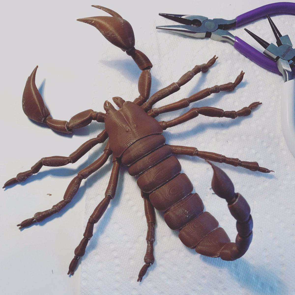 legranddoll's tweet photo. @Vaughanza Alfred is ready for Austin #BJDC! I just noticed...isn't it too much pliers on my pictures? 🤣#legranddoll #3dprinteddoll #bjdpets
#scorpion https://t.co/39oJbnvt5Y