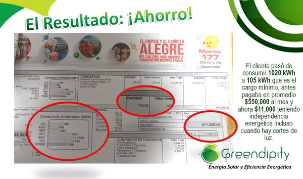GreendipityS's tweet photo. Estamos en el sur de Cali, llama y agenda tu cita CELULAR 3172353219 https://t.co/QNT77WDFQk