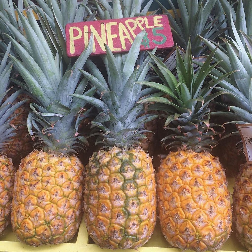 LunaSavita's tweet photo. #maui #pineapple #pineapples #fruit #fruitstand #island #islandtime #farm #pineapplestand #honeymoon #justmarried … https://t.co/Dska9VBDEN https://t.co/4jJL5Fvbxt