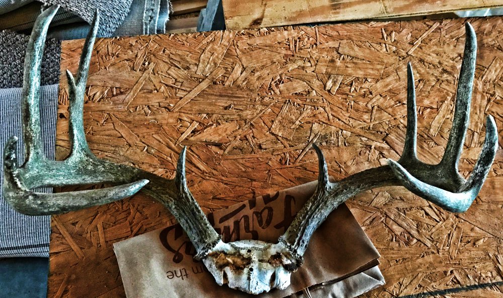 Our latest #newsletter has published! #deerseason is getting close! #hunting #fishing #arkansas #hot #drinkwater mailchi.mp/70af78aa0f4e/o…