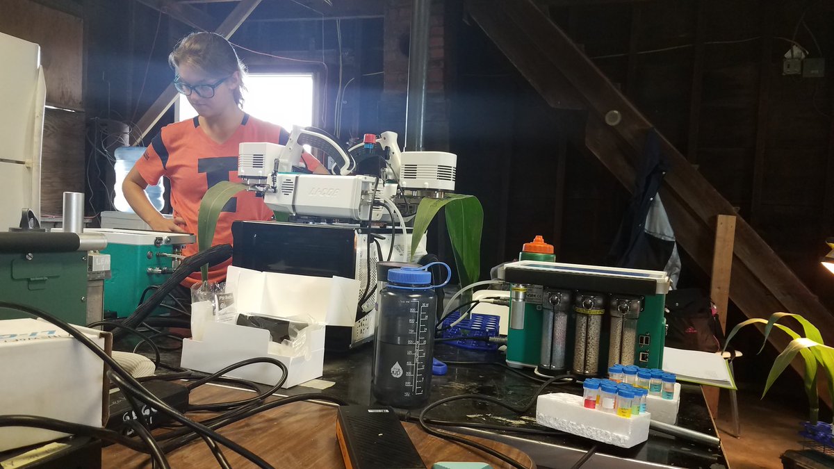 jenquebe's tweet photo. Brought the lab to the field this week. @ainsy28 @leakey77 @chburroughs3 @IGBIllinois @AmaizeingO3 https://t.co/QtixWYzuNd