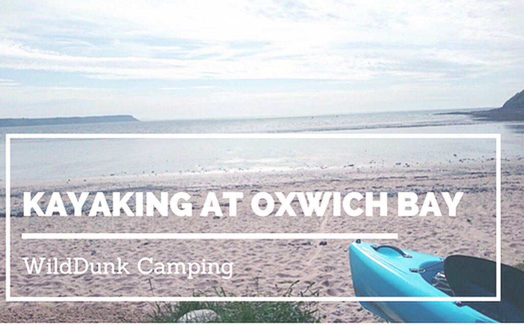 WildDunk Camping tweet media