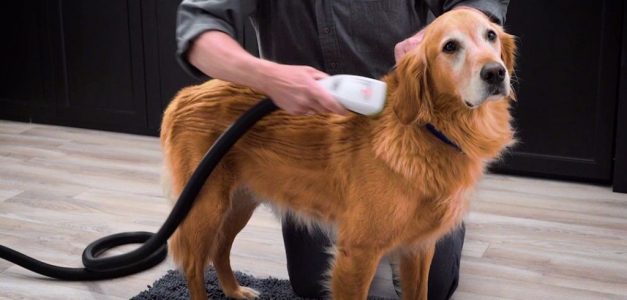 EnConsumo's tweet photo. Conoce #BarkBath, una manera de bañar a tu #perro sin ensuciar 🐶 https://t.co/AzHn63N1bT https://t.co/iP97Bfbkkl