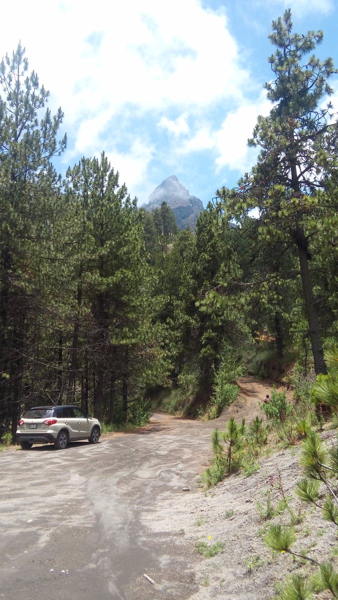 ClioED97's tweet photo. 😏
*Auto colado, lo importante es el fondo 😁* 🚵🏻☁️🌲 https://t.co/7oSqQCon9e