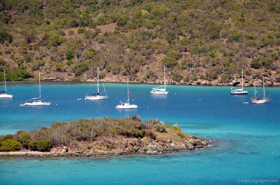 BritishVirginIs's tweet photo. #DiamondCay #BVI one our national parks located in #JosVanDyke
#bvi #bvisecrets #caribbean #travel #britishvirginislands https://t.co/eRaHFIvosa