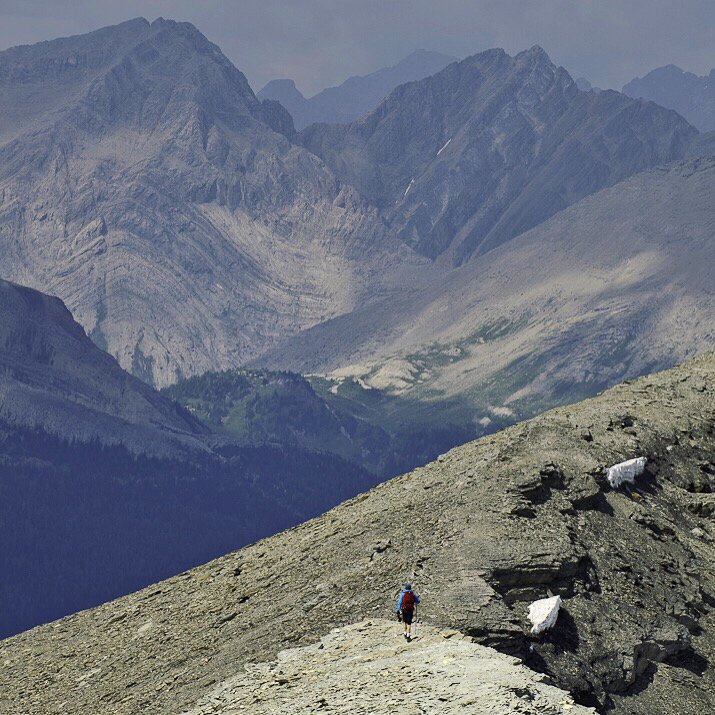 PowderMatt's tweet photo. A2: Wild-ness of it all. Unleash here. #exploreBCchat #getoutdoors #explorebc #taluslodge https://t.co/9EvejHtyJu