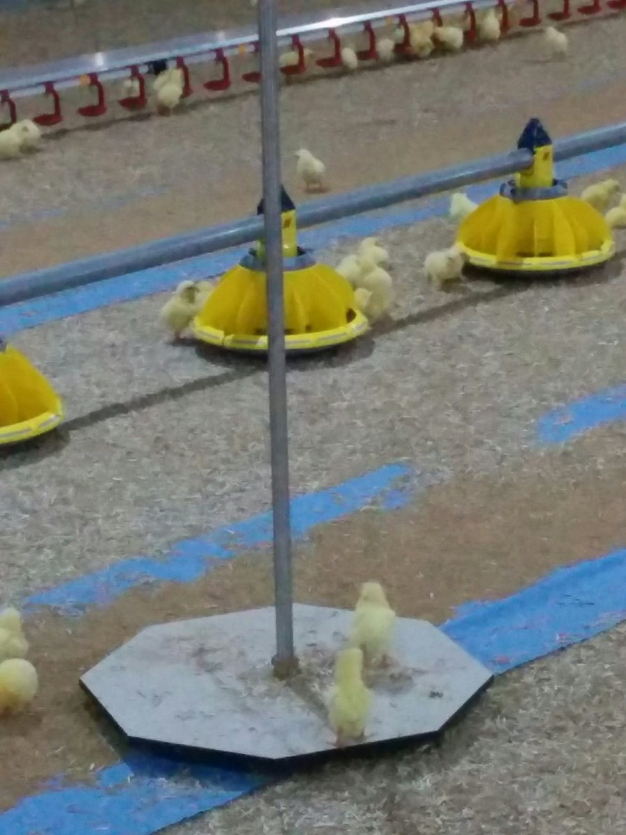 OPTICON AGRI SYSTEMS tweet media