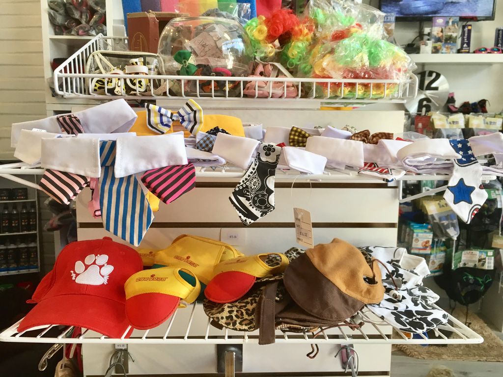 neopaws4pets's tweet photo. A wig a tie a hat ; you can find anything your puppy desires ! #neopaws #puppylove #dogfashion #puppyclothes https://t.co/MIKZloTpmU