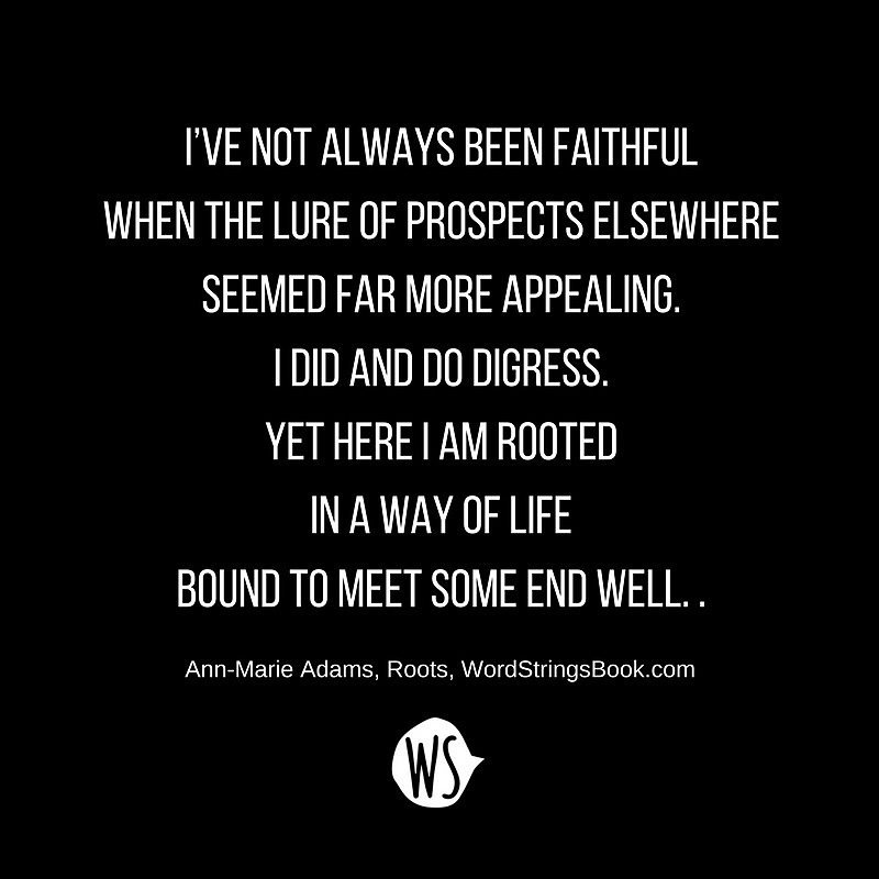 WordStringsBook's tweet photo. The journey matters. #life #time #choice #wordstrings https://t.co/UI6rTuyXQ9