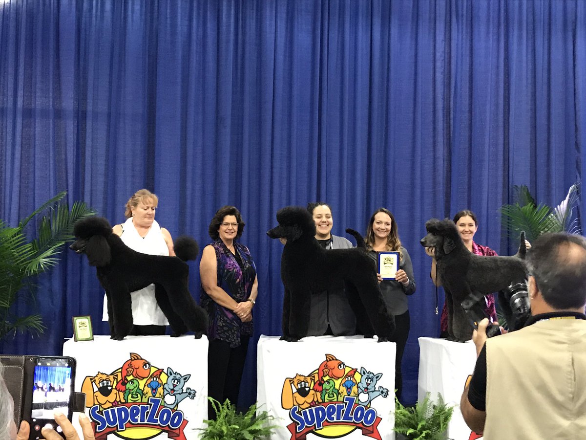 First place for Liz Gibbs!!! Woohooo!!!! #GoTeamPetSmart #SuperZoo #standout #DATlife