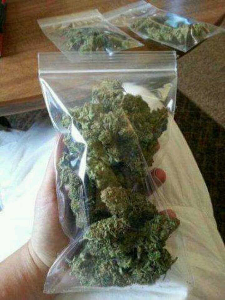 hydtjoseph's tweet photo. We sell top quality marijuana #420smokers #420 #weedstagram #weedporn #canabiscomunity #weed #weed for sale https://t.co/5FtRAEk1BT