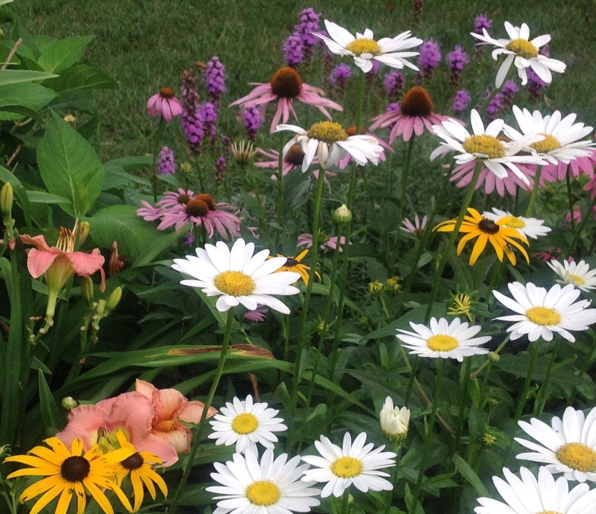 July is bustin' out all over! #Sumsumsummertime
