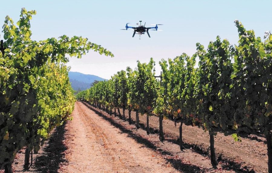 AgriCultrera's tweet photo. #Agricolturadiprecisione per far crescere le piccole #aziendeagricole. Volete saperne di più? 📞 09311840852 #innovazione #agricoltura #agrow https://t.co/2Yke4PRYzK