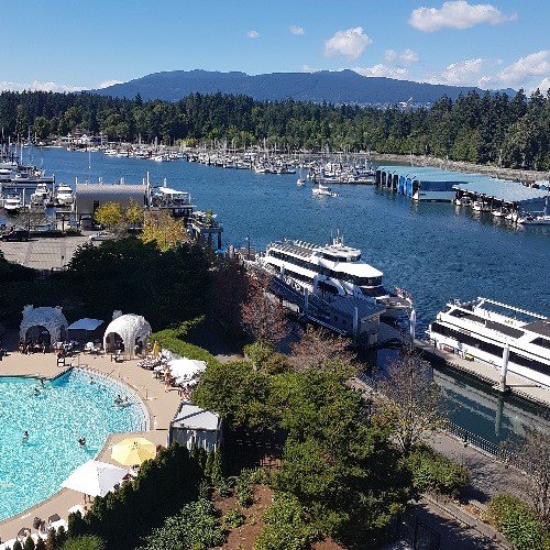 SusanNeil9's tweet photo. Leaving my room at Vancouver's Westin Bayshore is not easy!  PAQS 2017 Congress was amazing! @paqs2017 @CIQS_Official #GDNE17 #PAQS2017 https://t.co/lRh6UmfeOu