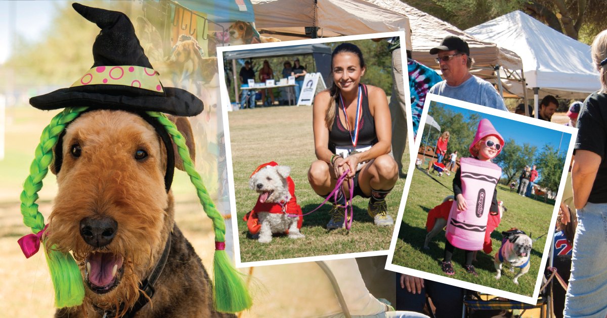 OroValleyAZGov's tweet photo. MEDIA RELEASE: Fall 2017 Parks &amp; Recreation Program Guide now available https://t.co/01KmdVd6HC https://t.co/yK3nKJheap