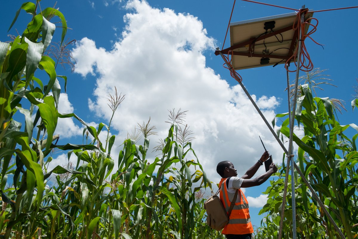 Devergy's tweet photo. We are #Hiring! Looking for #Sales and #Marketing positions in our Mbeya office. Apply today or spread the word! https://t.co/25jlJjF18s https://t.co/sU83TiviZ9