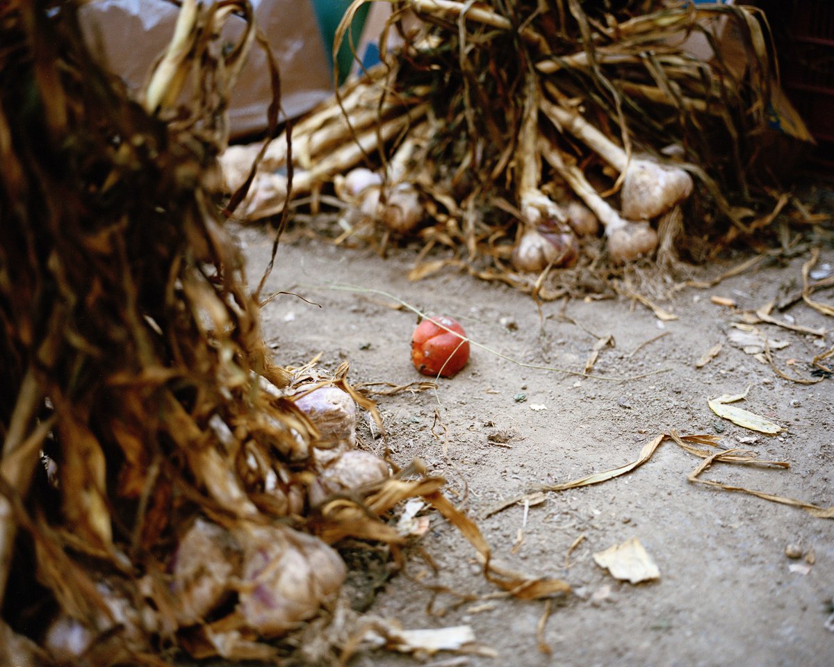 Isobel's Dance - work from my residency in Marseille on my website. lavincentmerry.com/isobels-dance #residency #research #workinprogress #theself