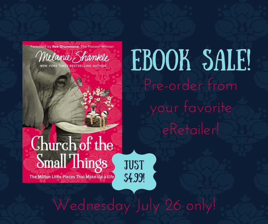 RevSarahWeaver's tweet photo. You can pre-order the e-book to #ChurchOfTheSmallThings today for $4.99! If you love @BigMama, you won't be disappointed! https://t.co/YQ7rWhADrU