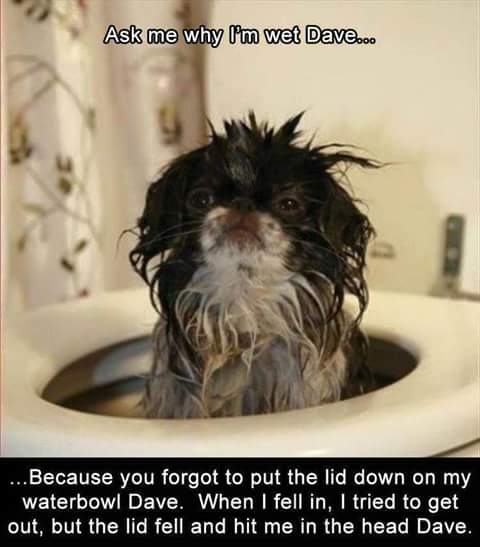 😂😂😂😂😂😂