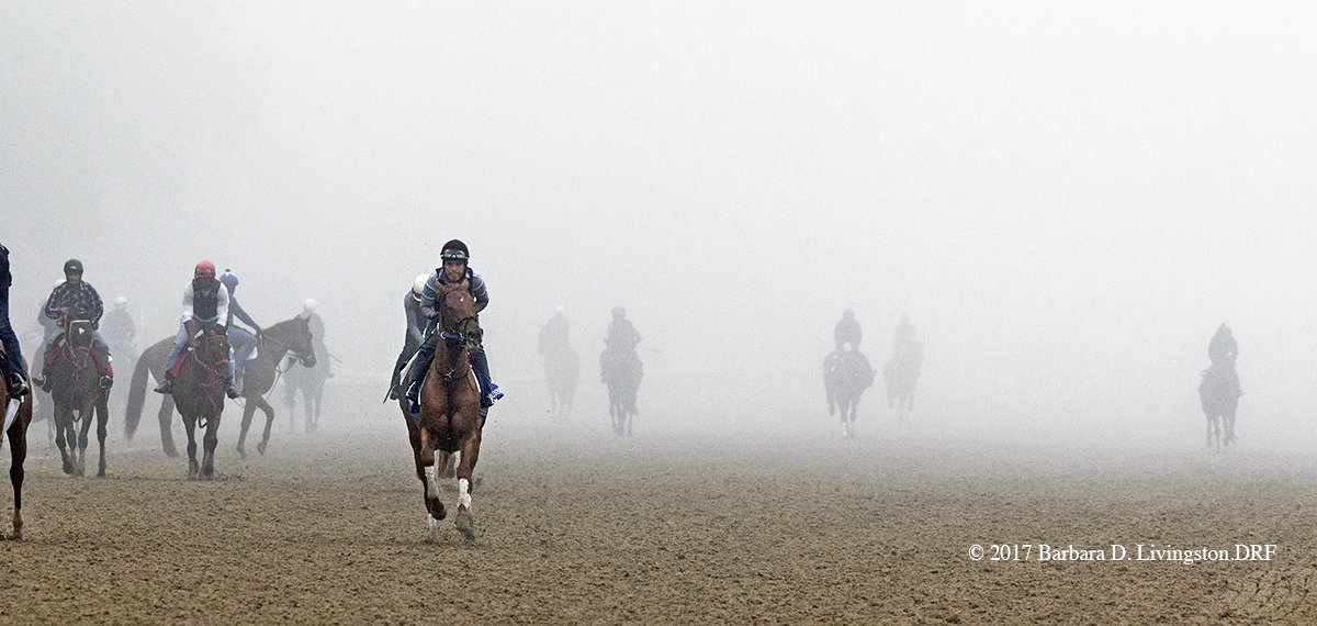 Barbara D. Livingston tweet media