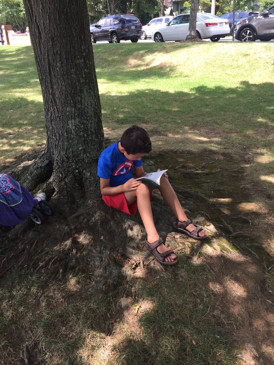 Lisa Halvis tweet media