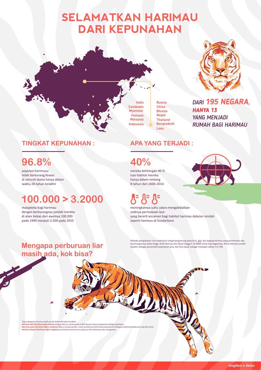 romo mugi tweet media