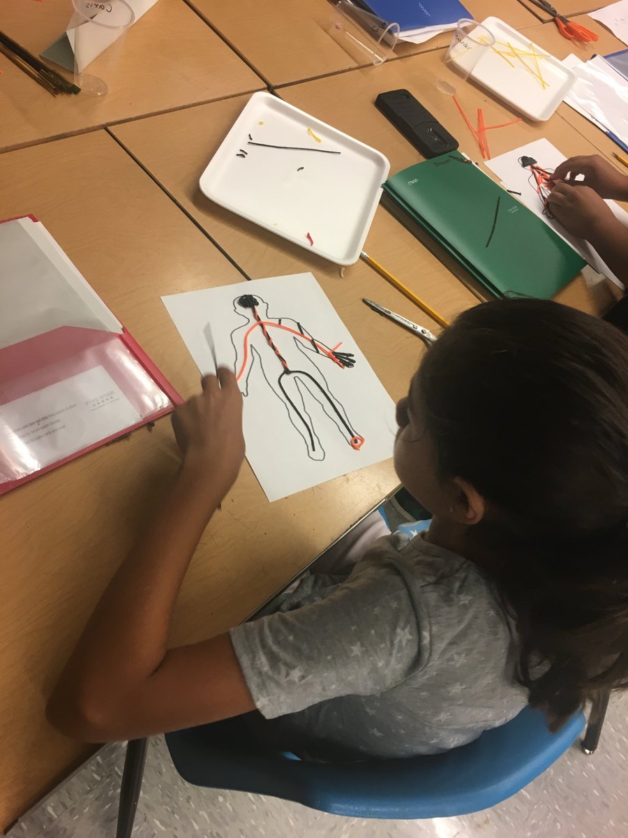 MrsBullock4Real's tweet photo. Mackenzie @STEAMCAMP2017 : Sculpting the nervous system with #wikkistix and #bendaroos @mackraiders @lubbockisd https://t.co/2jCJJyMhBF