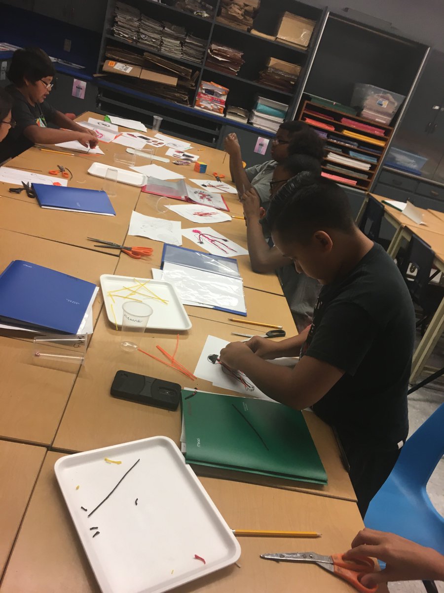 MrsBullock4Real's tweet photo. Mackenzie @STEAMCAMP2017 : Sculpting the nervous system with #wikkistix and #bendaroos @mackraiders @lubbockisd https://t.co/2jCJJyMhBF