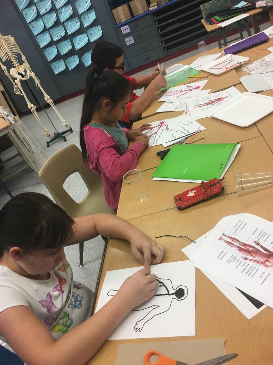 MrsBullock4Real's tweet photo. Mackenzie @STEAMCAMP2017 : Sculpting the nervous system with #wikkistix and #bendaroos @mackraiders @lubbockisd https://t.co/2jCJJyMhBF