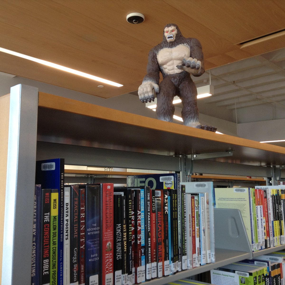 Daytonlibrary's tweet photo. Bigfoot checking out the nonfiction books in the new Main Library. https://t.co/qlne5VqyI6