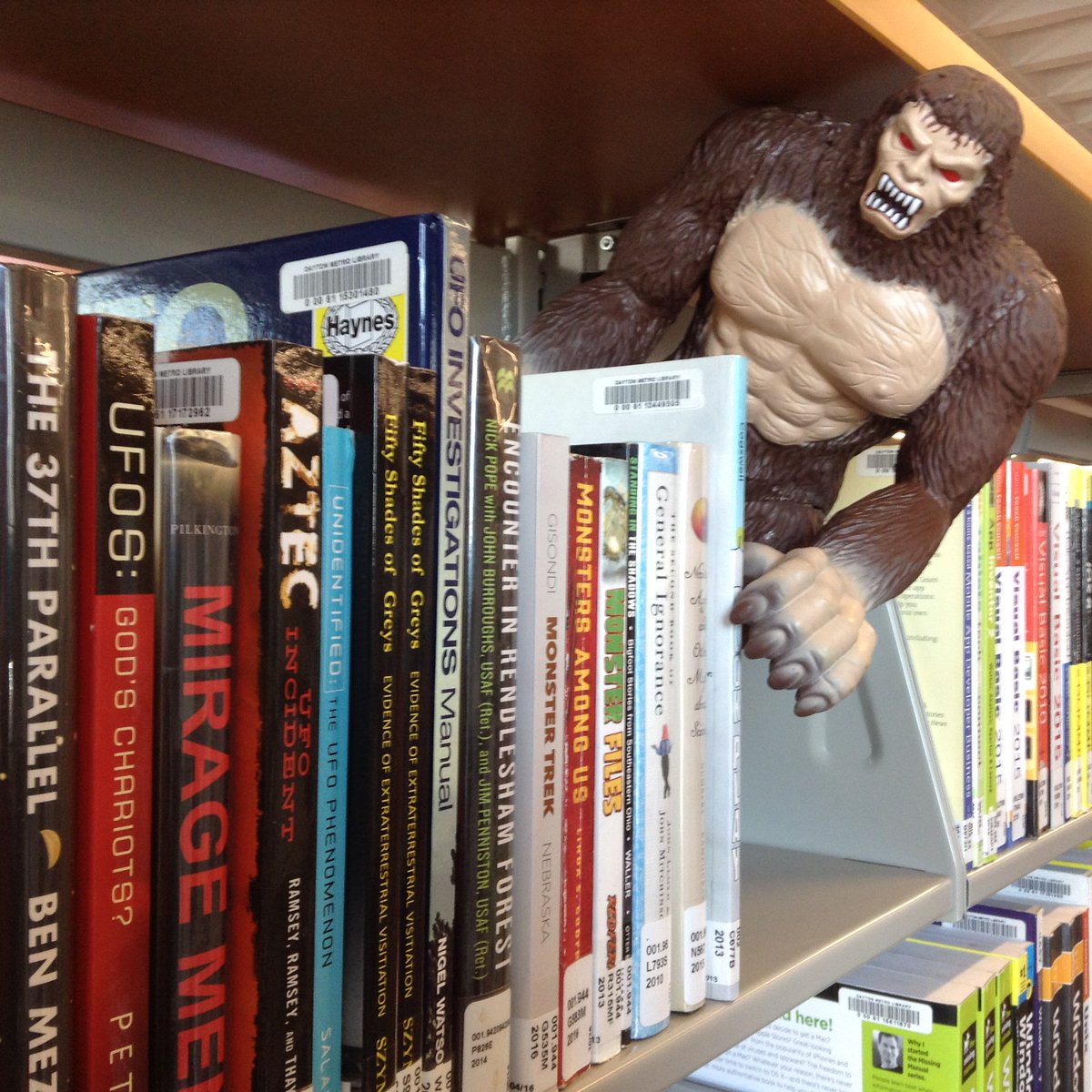 Daytonlibrary's tweet photo. Bigfoot checking out the nonfiction books in the new Main Library. https://t.co/qlne5VqyI6