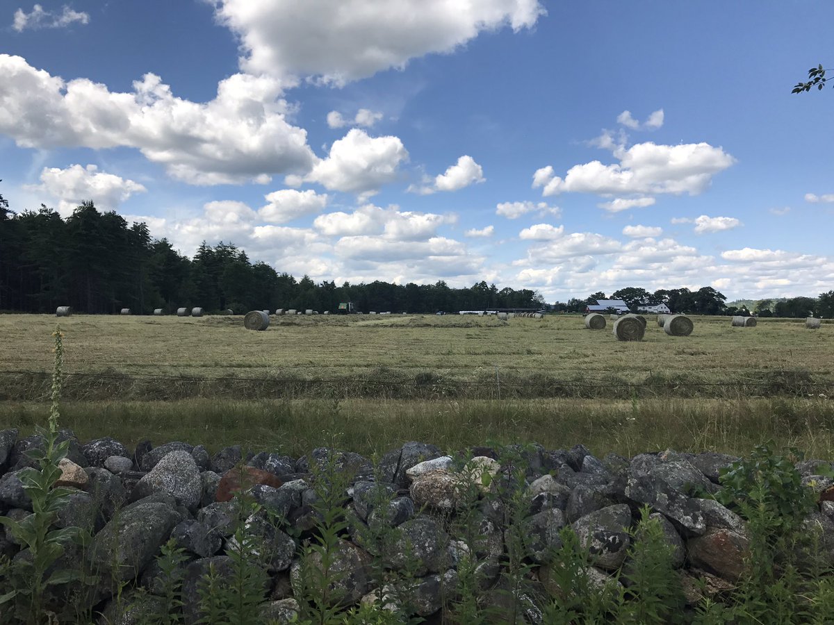 HRoadfeldt's tweet photo. Clouds, trees, haystacks, rocks... #PracticeBreak #Avaloch https://t.co/5wIRfFxHIR