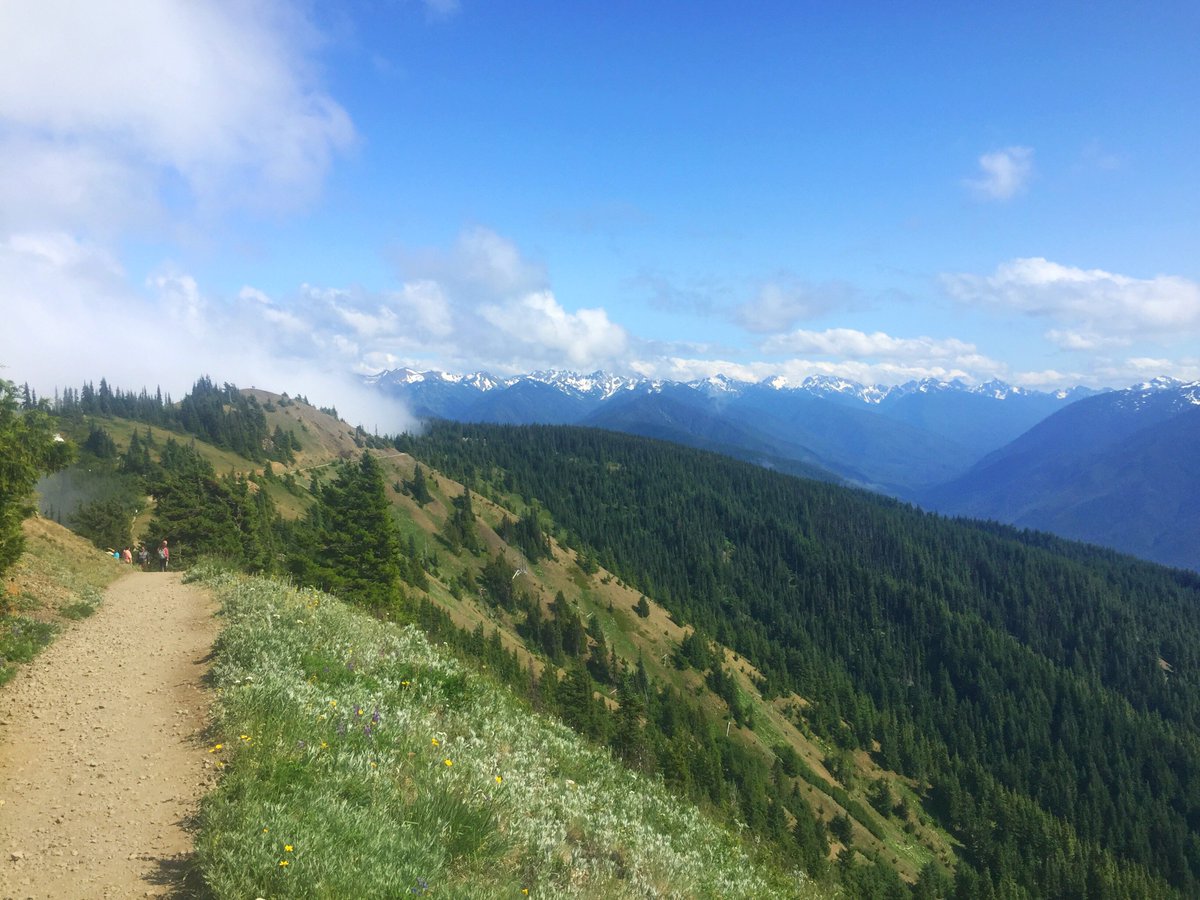 Strange_and_New's tweet photo. NOPE. That’s not #Switzerland. This is @OlympicNational, &amp; it’s the most perfect park in existence. #Findyourpark @NatlParkService https://t.co/x7Qo8y4BK5