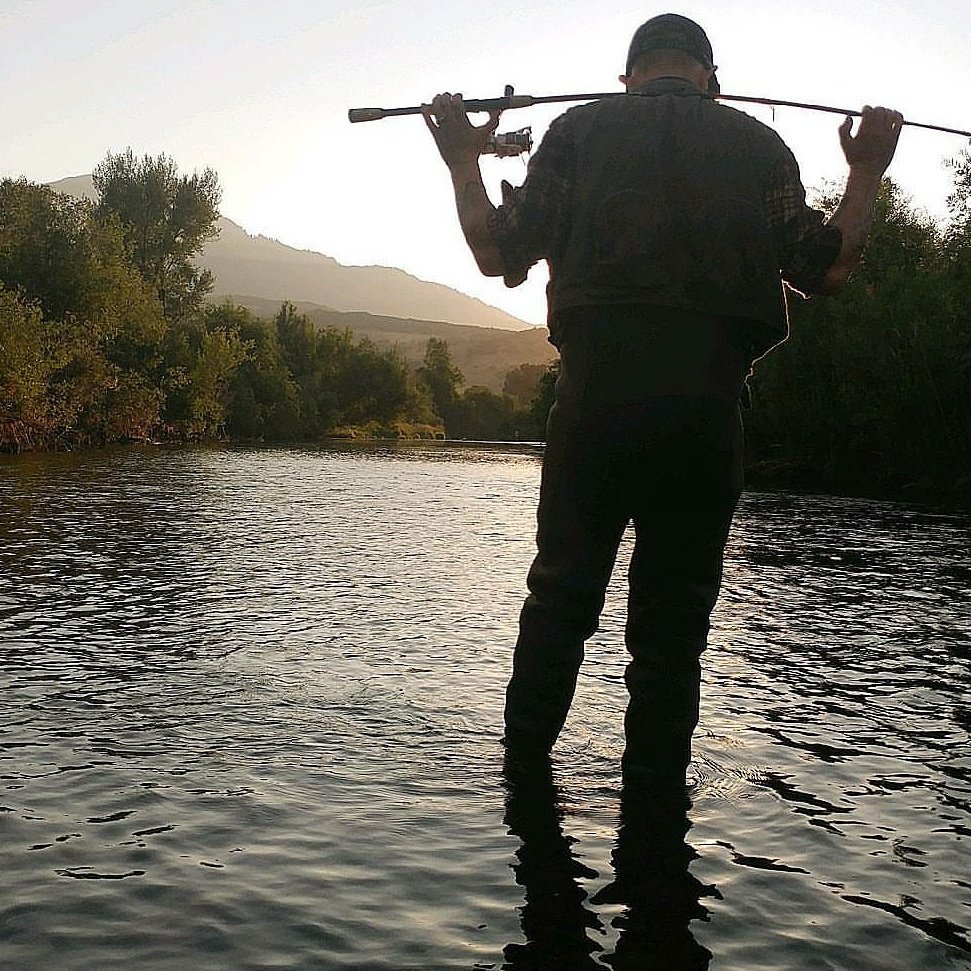 weberflyfish tweet picture