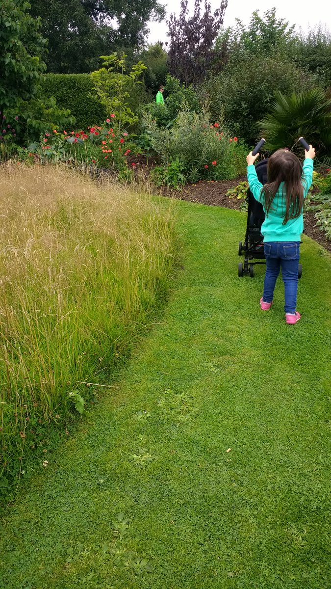 If you haven't been to @FelbriggHallNT lately, go! The gardens are looking stunning and it's great for kids too! #summerholidays