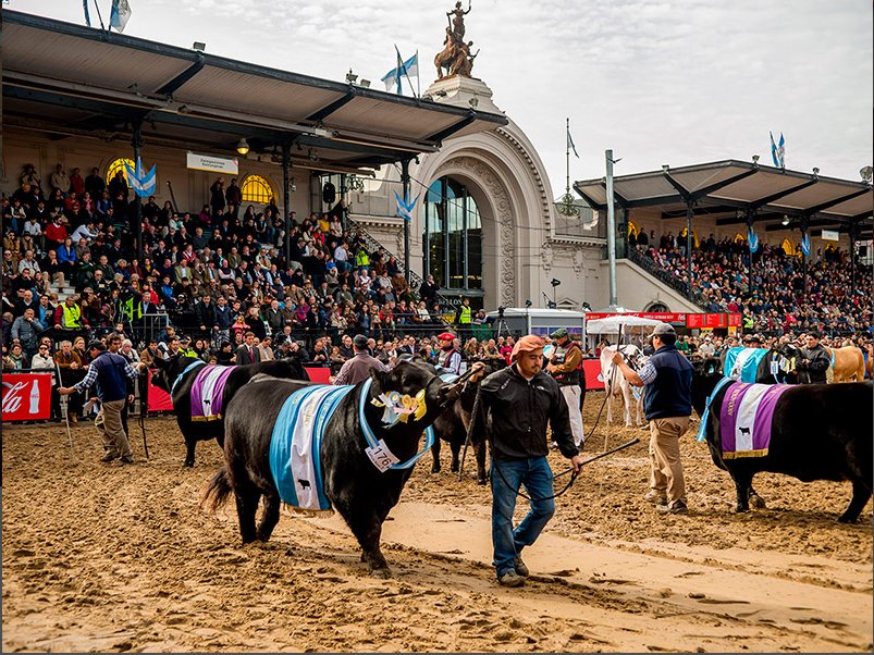 CanadaArgentina's tweet photo. Yesterday @Agribition  presented financial programs for Argentine breeders during the @exposicionrural  🐮 Info: https://t.co/EiLo7uqIY6 https://t.co/StxNZBI6v3