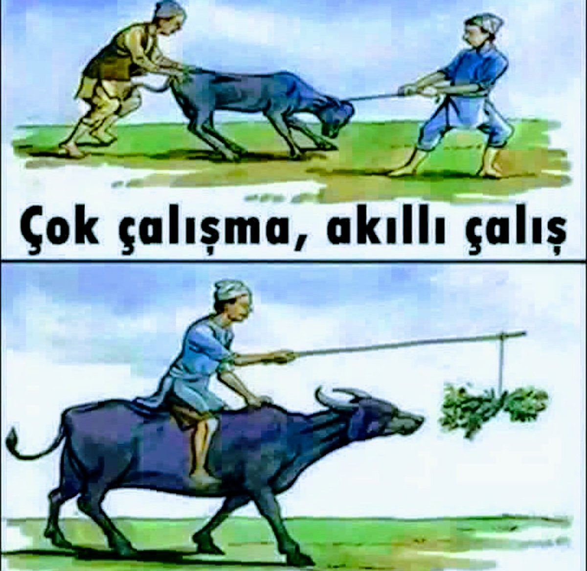 snn krkş (@sinankrkas) on Twitter photo 