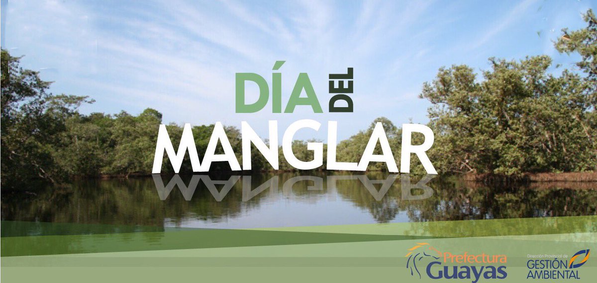 ambienteguayas's tweet photo. 26 de julio Día Internacional de Defensa del Manglar @PrefecturGuayas https://t.co/bz5QsMpiYg