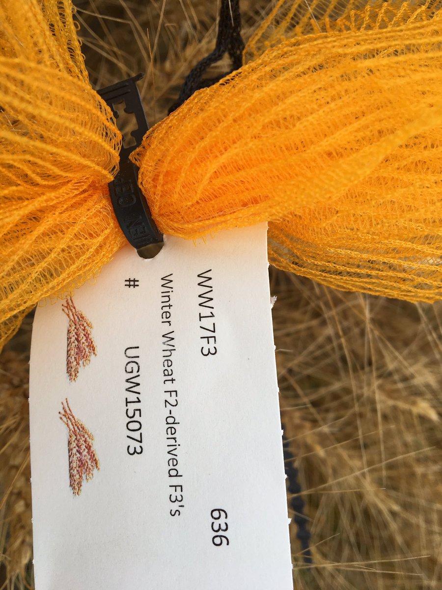 Alireza Navabi tweet media