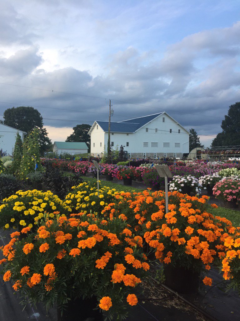 PACropDoc's tweet photo. ''Twas the eve before Penn State Flower Trial Field Day...join us tomorrow 8-4 #SEAREC @psuextension @agsciences https://t.co/jfJmXXCUk8