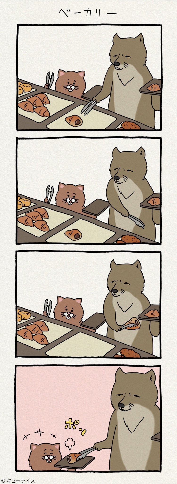 DFs1Fv_VYAAXVFo.jpg:large