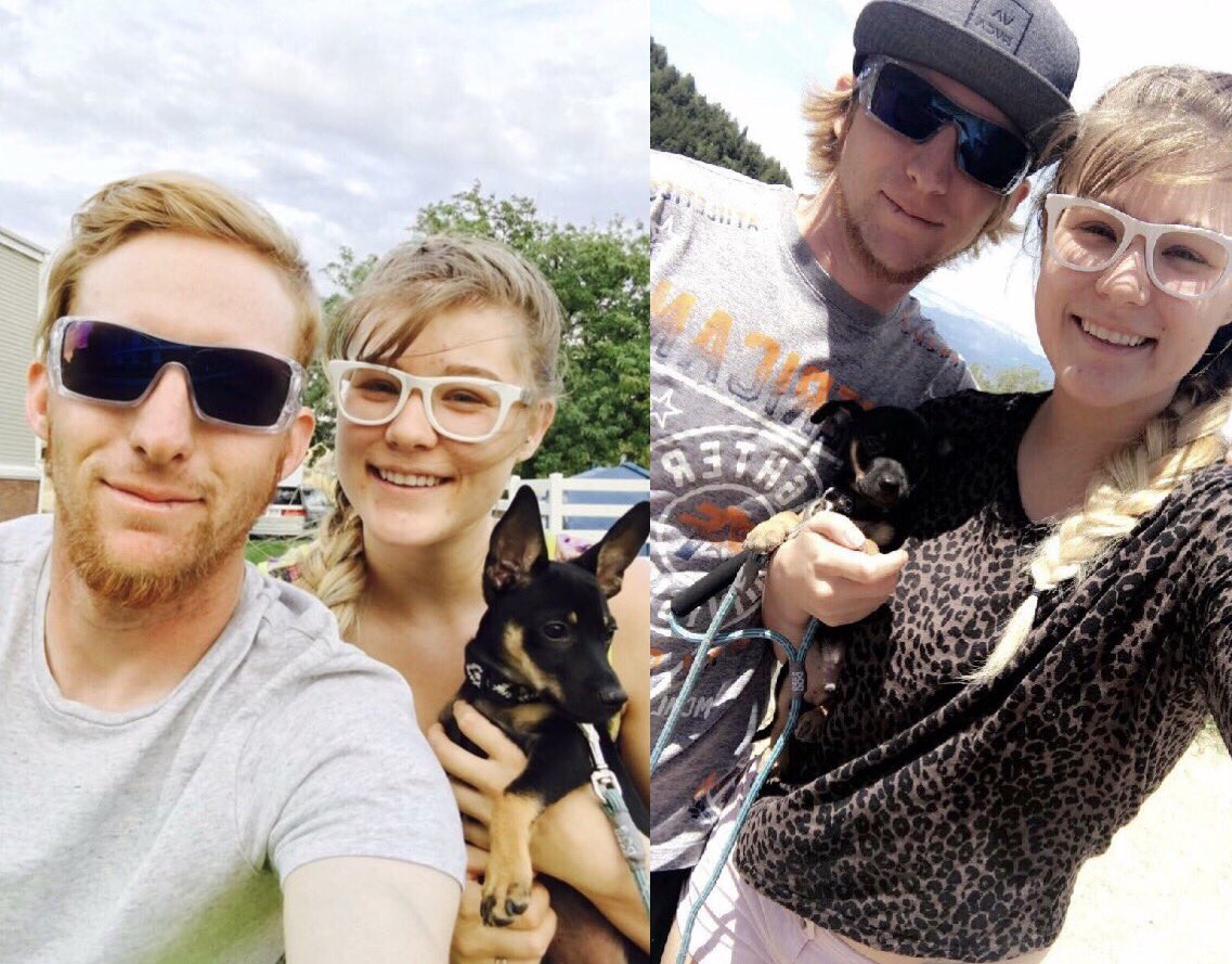 CallMeColee3's tweet photo. This is how much Dale has grown in a month. #DaleDoback #FutureServiceDog #LoveMyLilFam https://t.co/Gs94TJJCqd